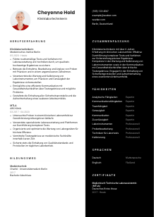 Lebenslauf-Vorlage für Kliniklabortechniker*in #3