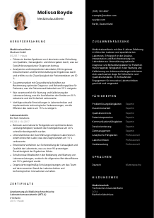 Lebenslauf-Vorlage für Medizinalaustiker*in #3