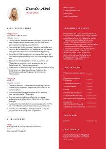 Lebenslauf-Vorlage für Pflegehelfer*in #3