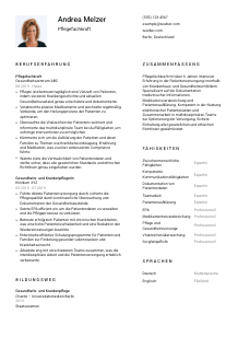 Lebenslauf-Vorlage für Pflegefachkraft #1