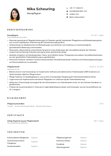 Lebenslauf-Muster für Reisepfleger*in
