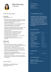 Lebenslauf-Vorlage für Reisepfleger*in #2
