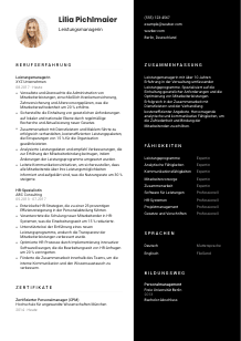 Lebenslauf-Vorlage für Leistungsmanager*in #3