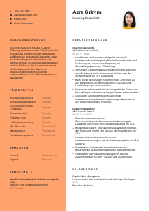 Lebenslauf-Vorlage für Sourcing-Spezialist*in #3
