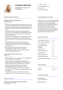 Lebenslauf-Vorlage für Manager*in für Lernen und Entwicklung #2