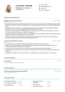 Lebenslauf-Vorlage für Manager*in für Lernen und Entwicklung #3