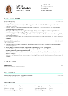 Lebenslauf-Vorlage für Direktor*in für Training #3