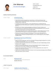 Lebenslauf-Vorlage für Innovationsbeauftragte*r #1