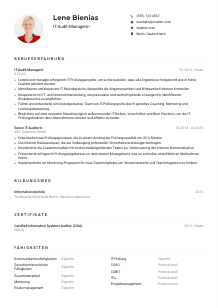 Lebenslauf-Muster für IT-Audit-Manager*in