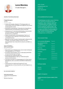 Lebenslauf-Vorlage für IT-Audit-Manager*in #2
