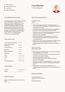 Lebenslauf-Vorlage für IT-Audit-Manager*in #3