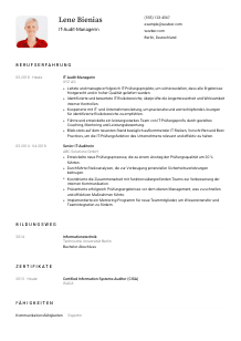 Lebenslauf-Vorlage für IT-Audit-Manager*in #1