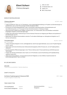 Lebenslauf-Muster für IT-Delivery-Manager*in