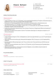 Lebenslauf-Vorlage für IT-Delivery-Manager*in #1