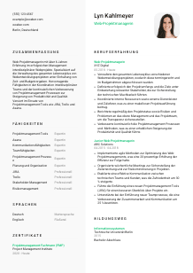 Lebenslauf-Vorlage für Web-Projektmanager*in #2