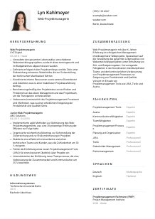 Lebenslauf-Vorlage für Web-Projektmanager*in #1