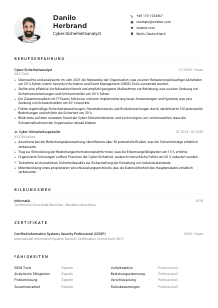 Lebenslauf-Muster für Cyber-Sicherheitsanalyst*in
