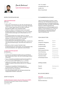 Lebenslauf-Vorlage für Cyber-Sicherheitsanalyst*in #2