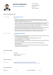 Lebenslauf-Vorlage für Cyber-Sicherheitsanalyst*in #1