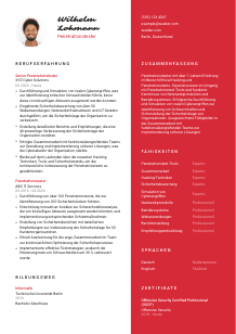 Lebenslauf-Vorlage für Penetrationstester*in #3