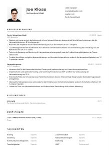 Lebenslauf-Vorlage für Netzwerkarchitekt*in #2
