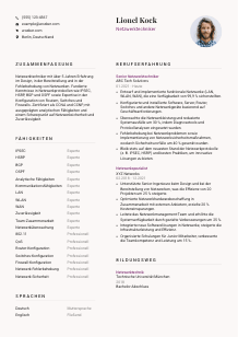 Lebenslauf-Vorlage für Netzwerktechniker*in #3