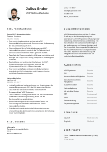 Lebenslauf-Vorlage für VOIP-Netzwerktechniker*in #2