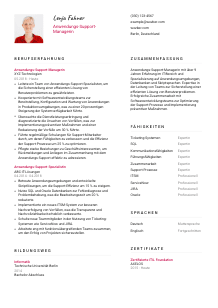 Lebenslauf-Vorlage für Anwendungs-Support-Manager*in #2