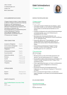 Lebenslauf-Vorlage für IT-Support-Analyst*in #2