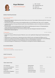 Lebenslauf-Vorlage für Service-Desk-Manager*in #3
