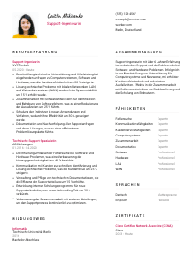 Lebenslauf-Vorlage für Support-Ingenieur*in #2