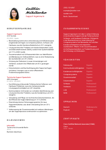Lebenslauf-Vorlage für Support-Ingenieur*in #3