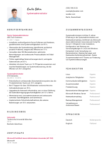 Lebenslauf-Vorlage für Systemadministrator*in #2