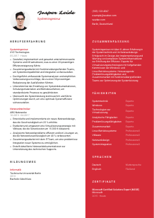 Lebenslauf-Vorlage für Systemingenieur*in #3