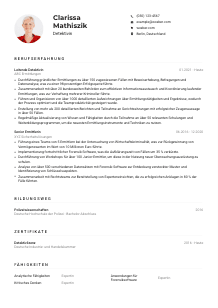 Lebenslauf-Muster für Detektiv*in