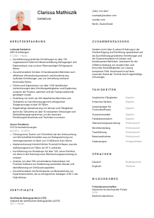 Lebenslauf-Vorlage für Detektiv*in #1