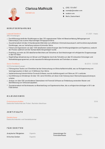 Lebenslauf-Vorlage für Detektiv*in #3