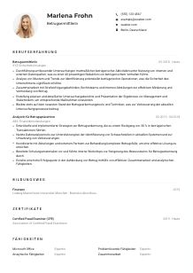 Lebenslauf-Muster für Betrugsermittler*in