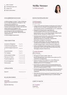 Lebenslauf-Vorlage für Vorfallsmanager*in #3
