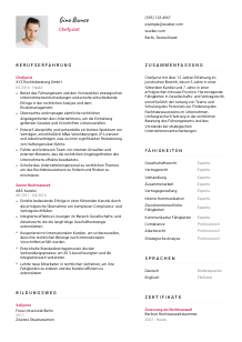Lebenslauf-Vorlage für Chefjurist*in #2