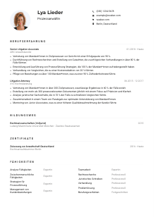 Lebenslauf-Muster für Prozessanwält*in