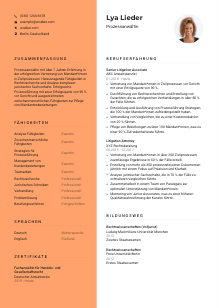 Lebenslauf-Vorlage für Prozessanwält*in #3