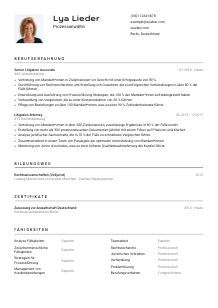 Lebenslauf-Vorlage für Prozessanwält*in #2