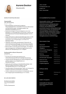 Lebenslauf-Vorlage für Steueranwält*in #3