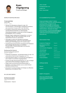 Lebenslauf-Vorlage für Prozessverteidiger*in #2