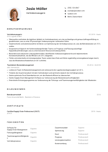 Lebenslauf-Muster für Vertriebsmanager*in