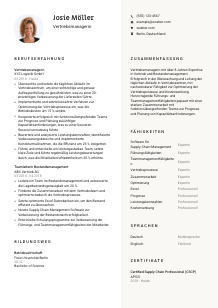 Lebenslauf-Vorlage für Vertriebsmanager*in #2