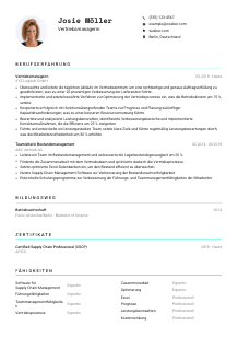 Lebenslauf-Vorlage für Vertriebsmanager*in #3