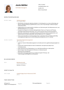 Lebenslauf-Vorlage für Vertriebsmanager*in #1