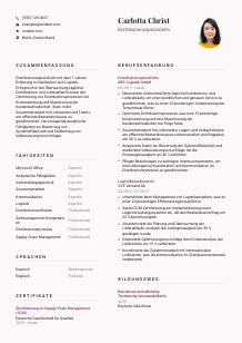 Lebenslauf-Vorlage für Distributionsspezialist*in #3